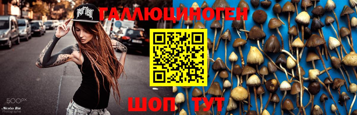Галлюциногенные грибы мухоморы Белебей